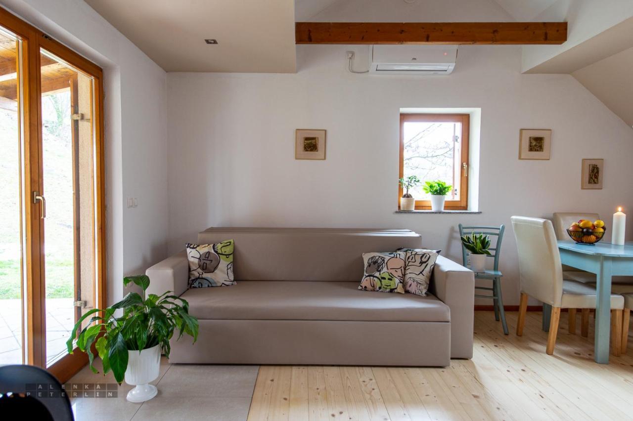 Vineyard Cottage Klemencic Νόβο Μέστο Εξωτερικό φωτογραφία