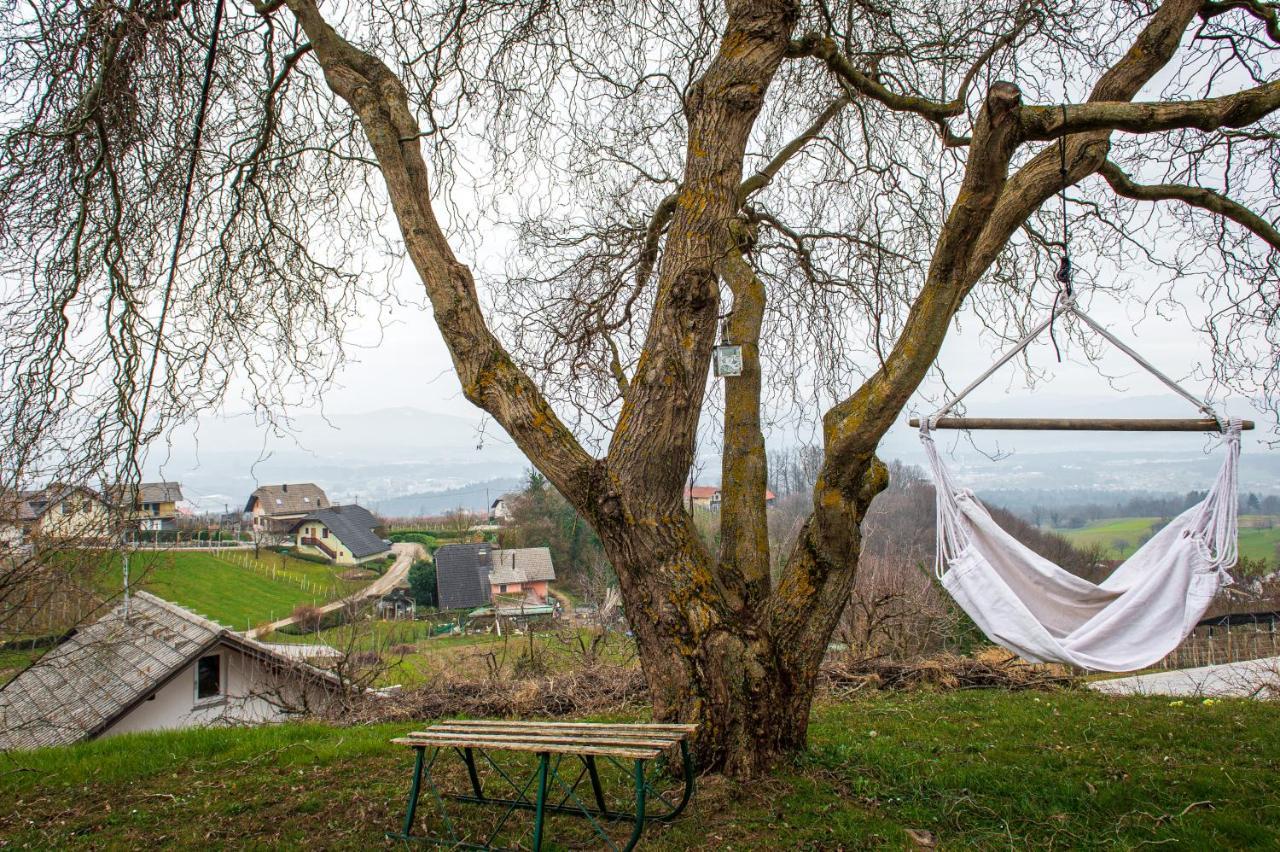 Vineyard Cottage Klemencic Νόβο Μέστο Εξωτερικό φωτογραφία