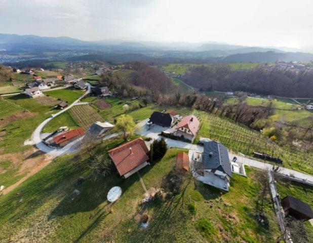 Vineyard Cottage Klemencic Νόβο Μέστο Εξωτερικό φωτογραφία