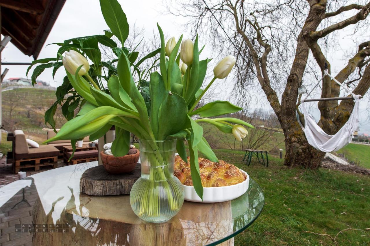 Vineyard Cottage Klemencic Νόβο Μέστο Εξωτερικό φωτογραφία