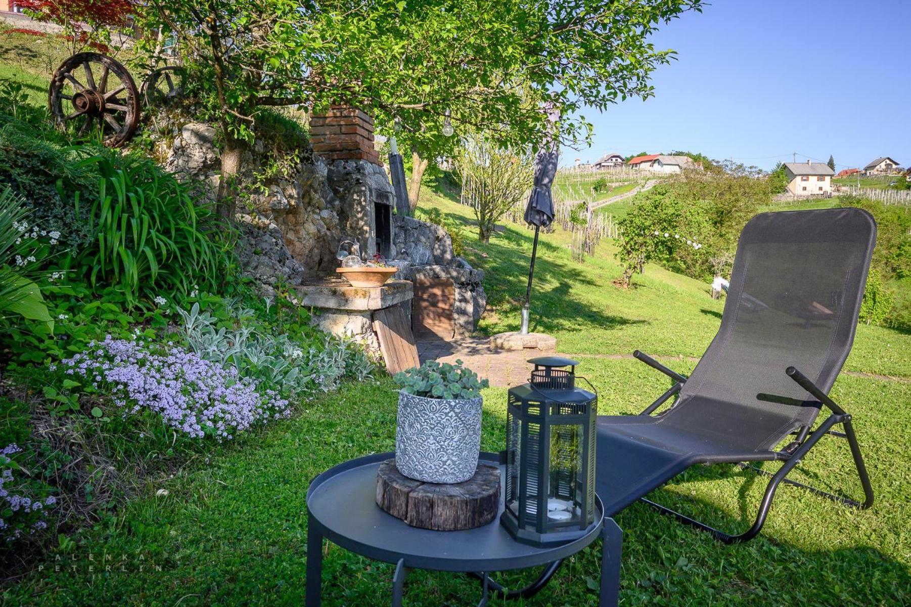 Vineyard Cottage Klemencic Νόβο Μέστο Εξωτερικό φωτογραφία